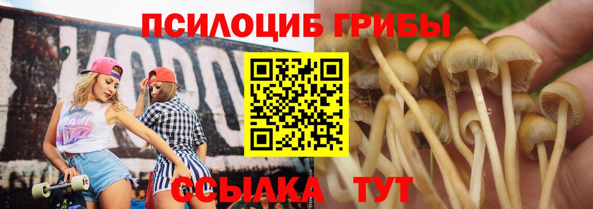 Галлюциногенные грибы прущие грибы Кандалакша